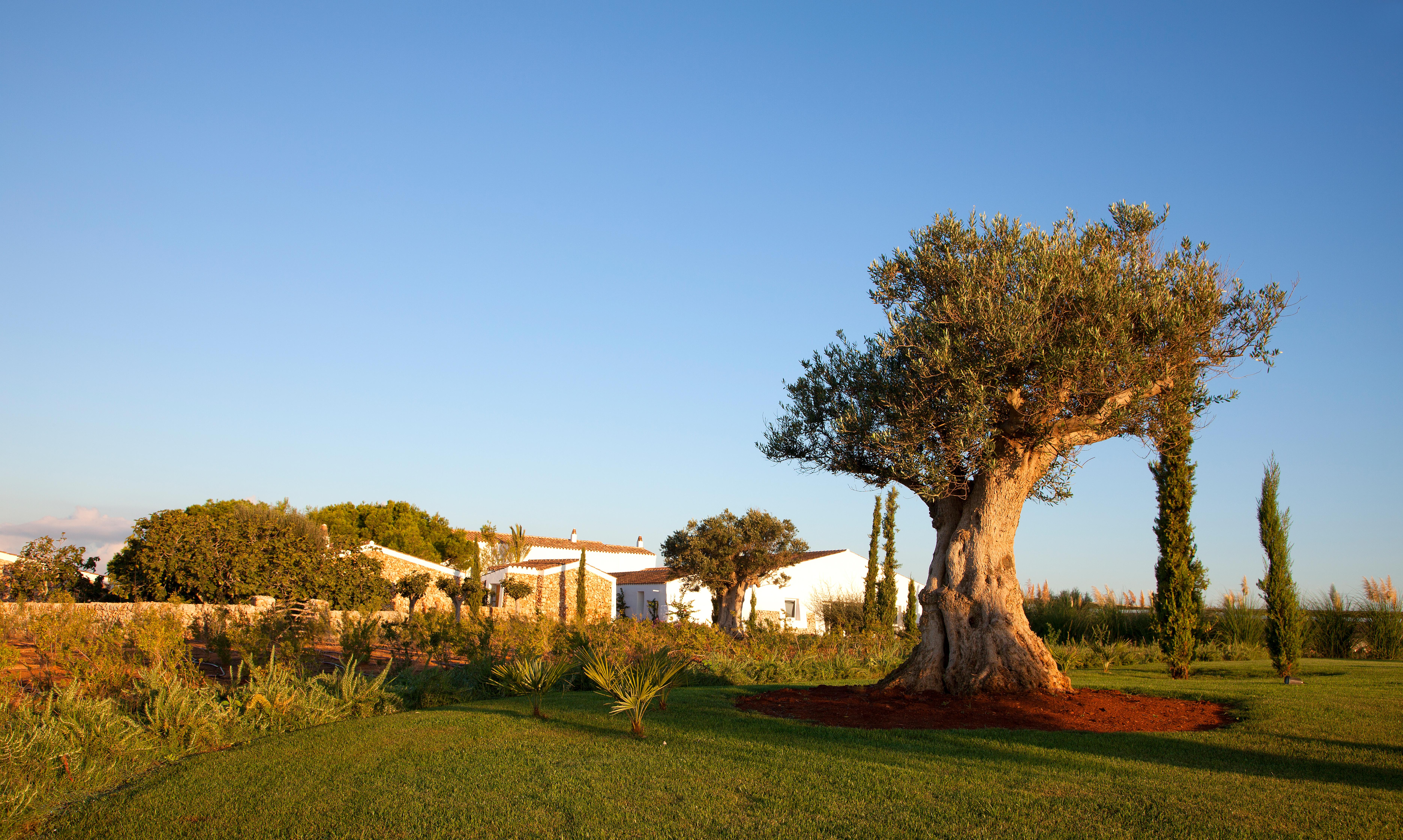 Torralbenc, A Small Luxury Hotel Of The World Cala En Porter  Ngoại thất bức ảnh